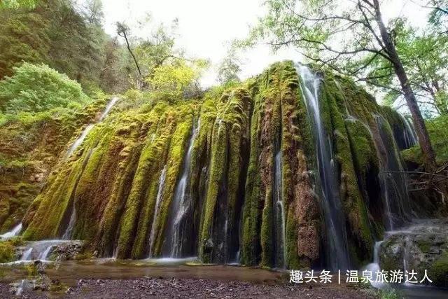 调味品鸡精定量包装机,全自动包装